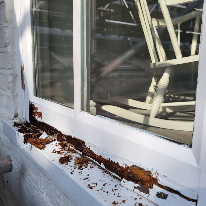 Decay Repair Service in Conroe, TX