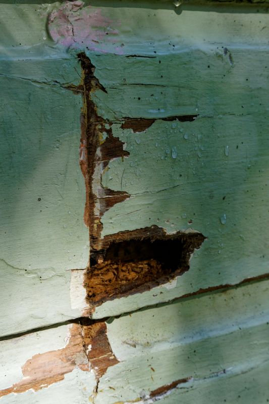 Decay Repair Service in Roswell, GA