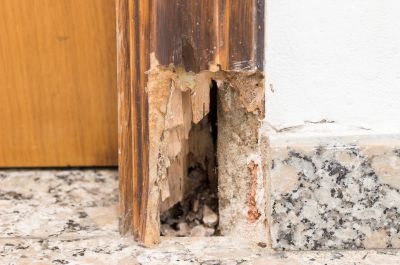 Decayed Wood Replacement in Wilmington, NC