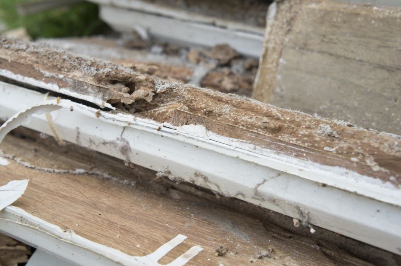 Decayed Wood Replacement in Conroe, TX