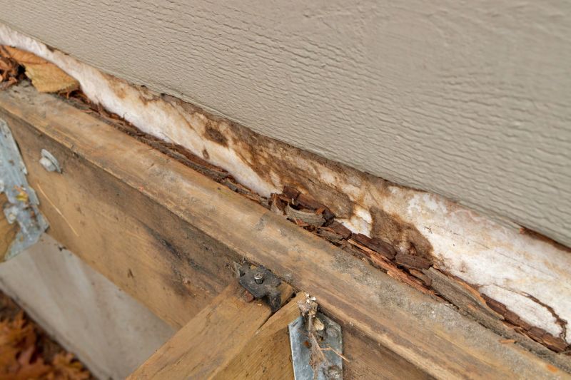 Dry Rot Remediation in Longmont, CO