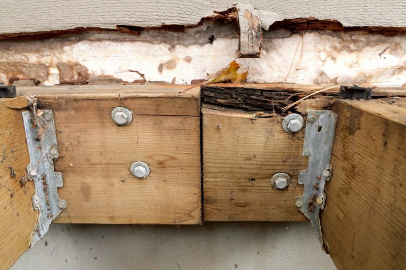 Dry Rot Repair in Indianapolis, IN