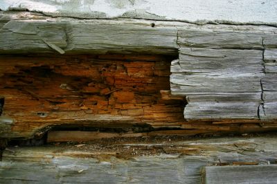Rotten Wood Repair in Kansas City, KS