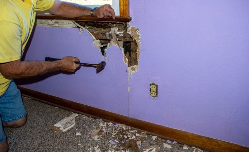 Termite Damage Repair Service in Denver, CO