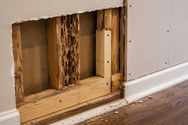 Termite Damage Restoration in Arvada, CO