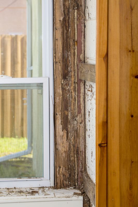 Termite Damage Restoration in Kansas City, KS