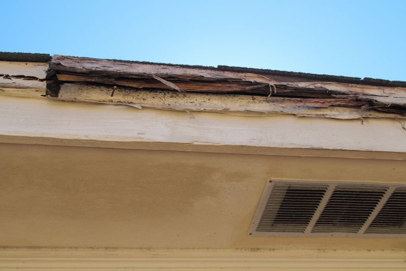 Termite Damage Restoration in Kansas City, MO