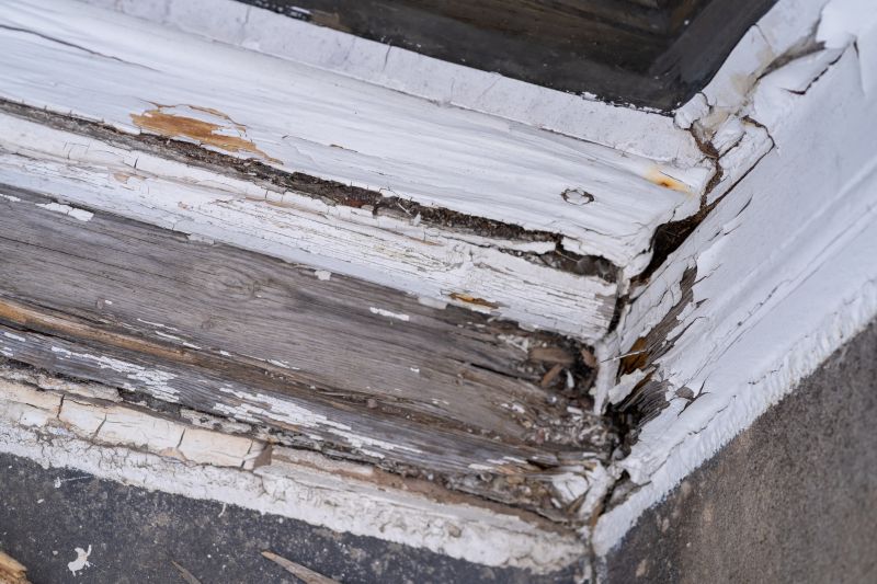 Wood Decay Removal in Denver County, CO