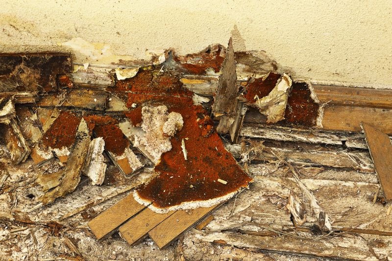 Wood Decay Repair in Overland Park, KS