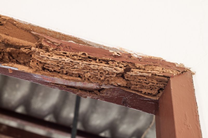 Wood Decay Repair in Conroe, TX