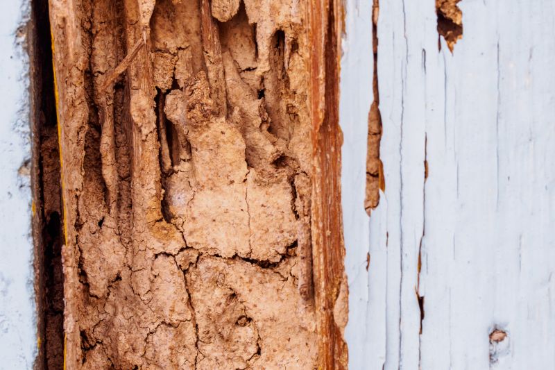 Wood Rot Repair in Overland Park, KS